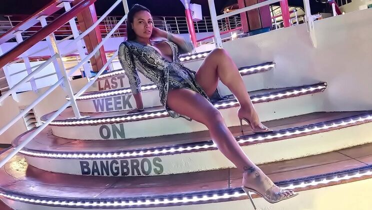 Last Week On BANGBROS.COM : 11\/ \/2019 - 11\/22\/2019