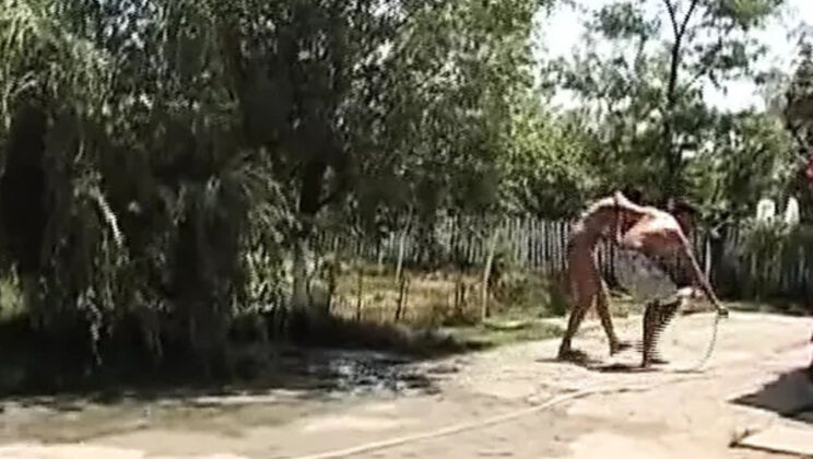 Hot German babe takes big cock hard outdoors - rough doggy & facial