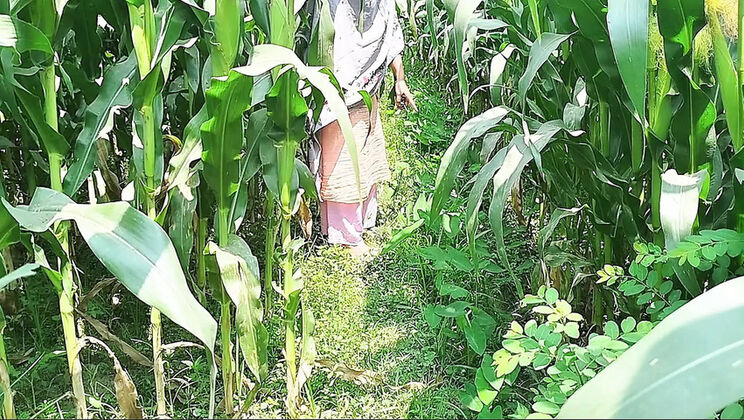 Desi Bhabhi Outdoor Jungle Sex with Devar - Hot Indian Fuck in HD