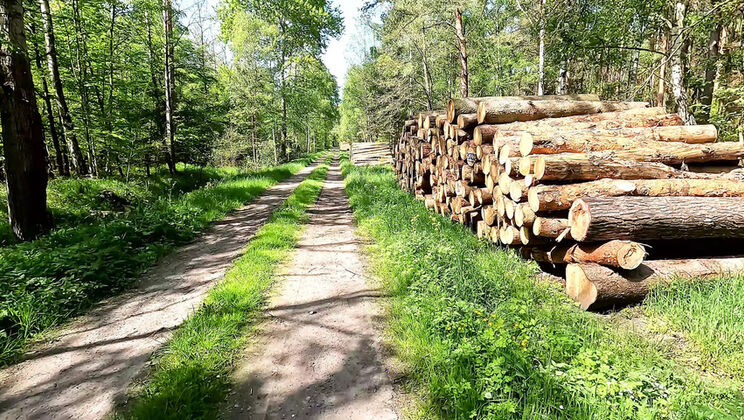 Bouncy Tits Outdoor BDSM: Public Sun Punishment & Giant Breasts Humiliation