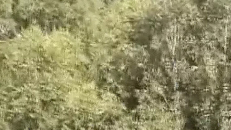 German Lesbians Share Strapon in Public - Hardcore Outdoor Fuck