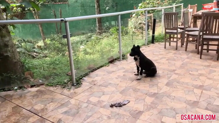 Search Results for cumshot videos euroxxx altyazılı altyazılı  