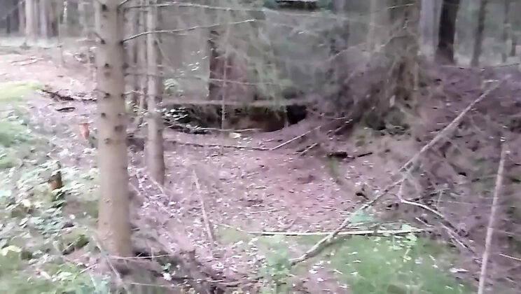 German Bunker Fuck: Amateur BDSM Punishment with Pissing & Golden Shower
